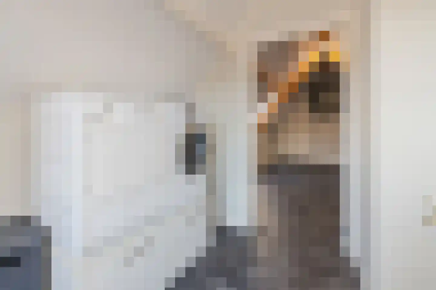 Enkstraat 90 Raalte thumbnail 27