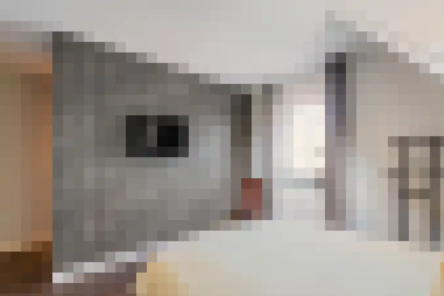 Enkstraat 90 Raalte thumbnail 29