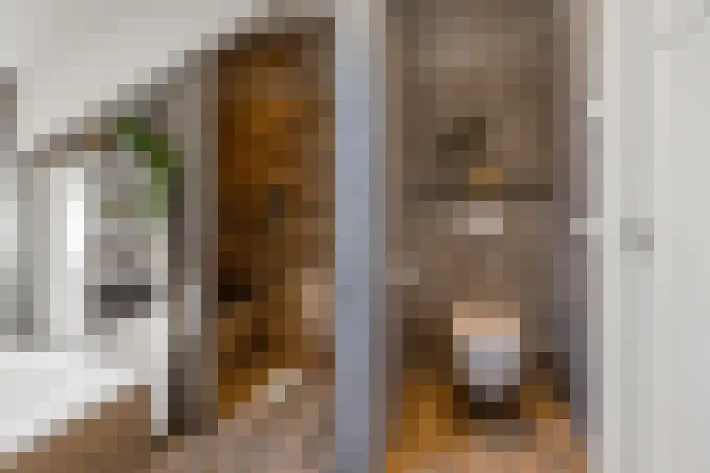 Enkstraat 90 Raalte thumbnail 35