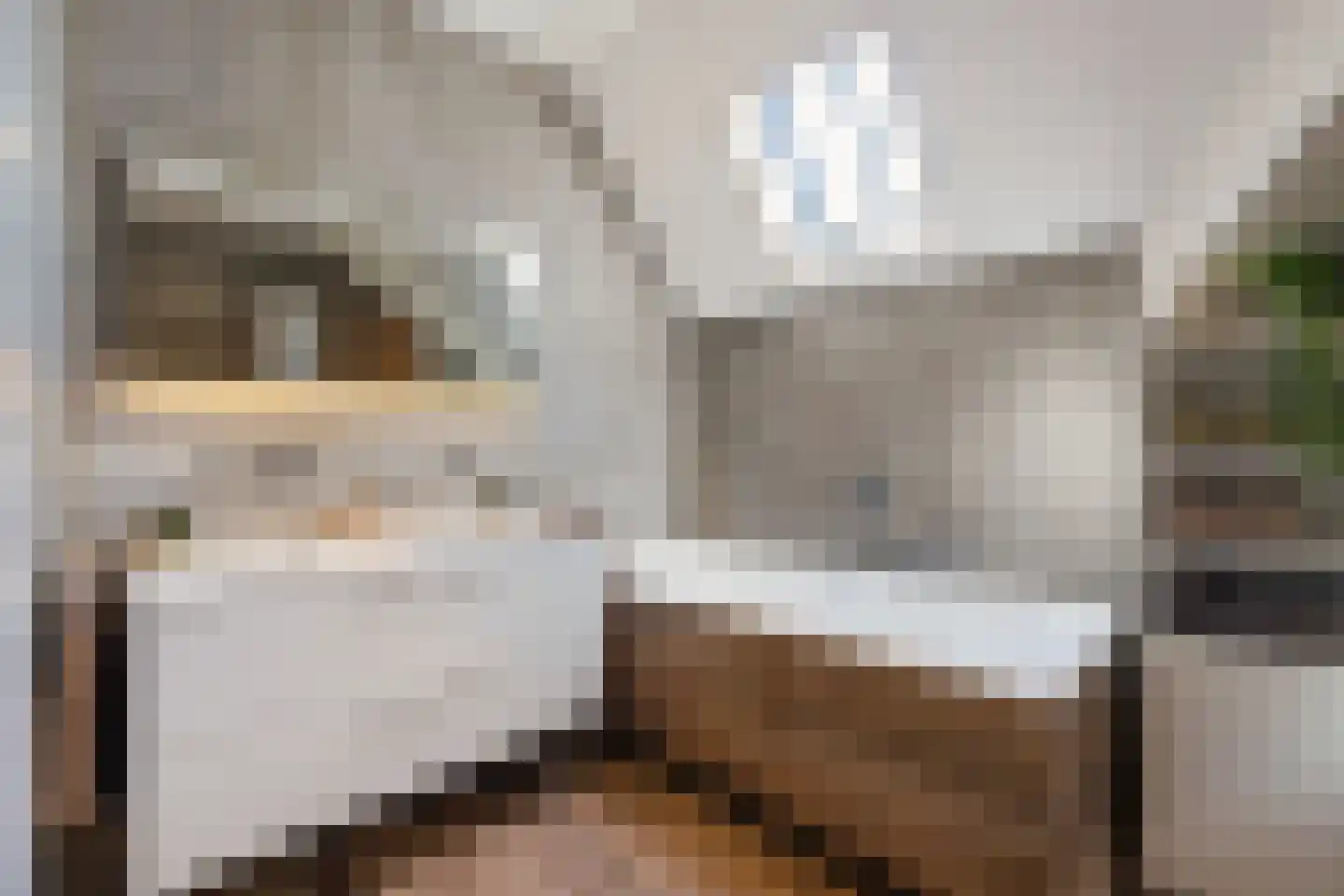 Enkstraat 90 Raalte thumbnail 36