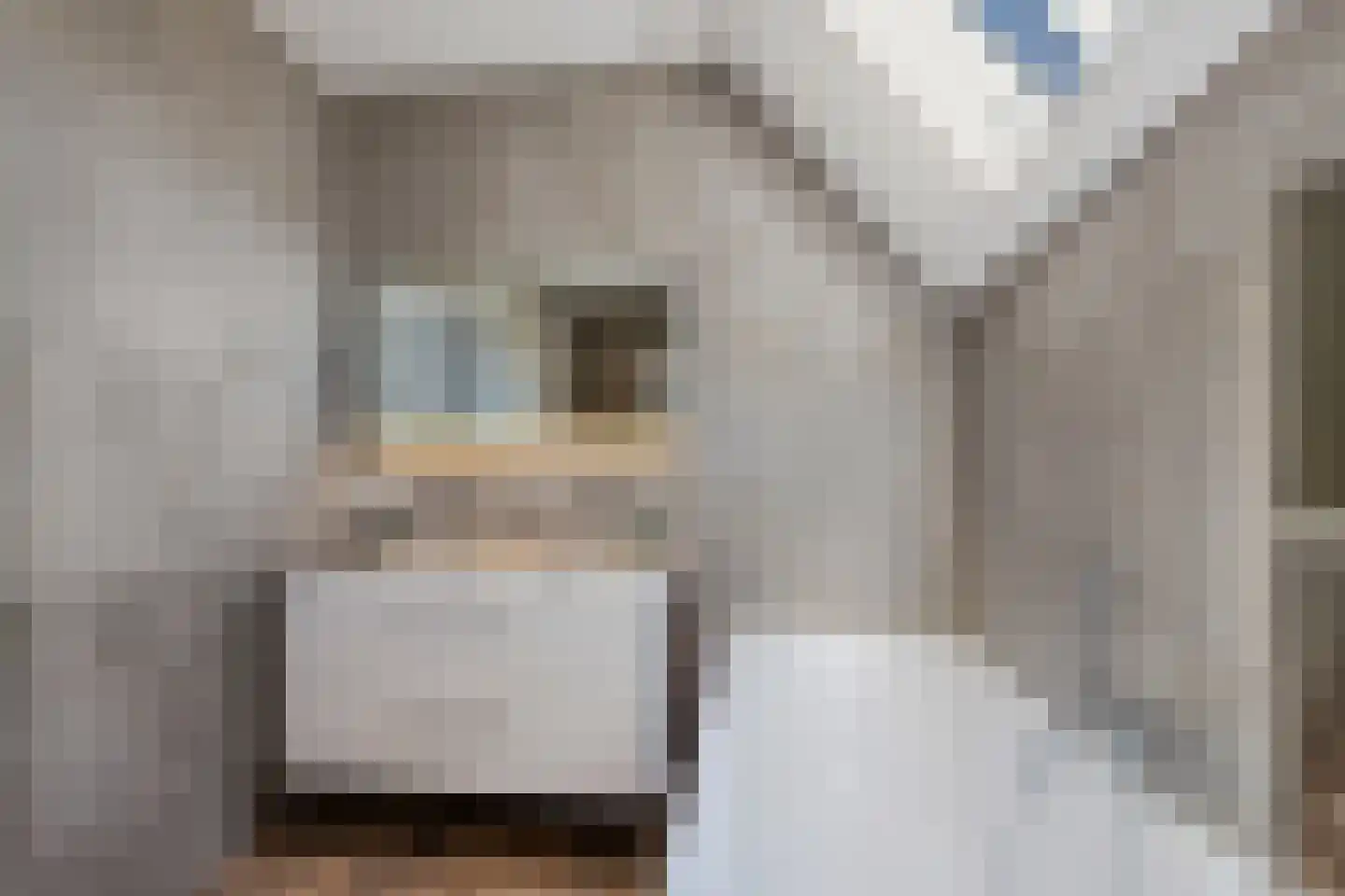Enkstraat 90 Raalte thumbnail 37