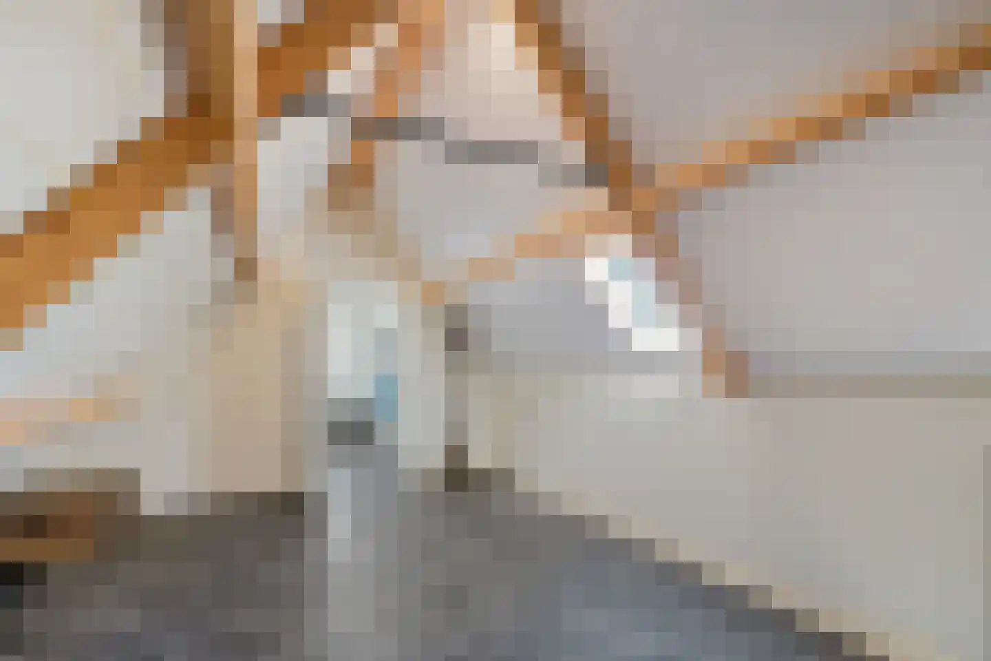 Enkstraat 90 Raalte thumbnail 40