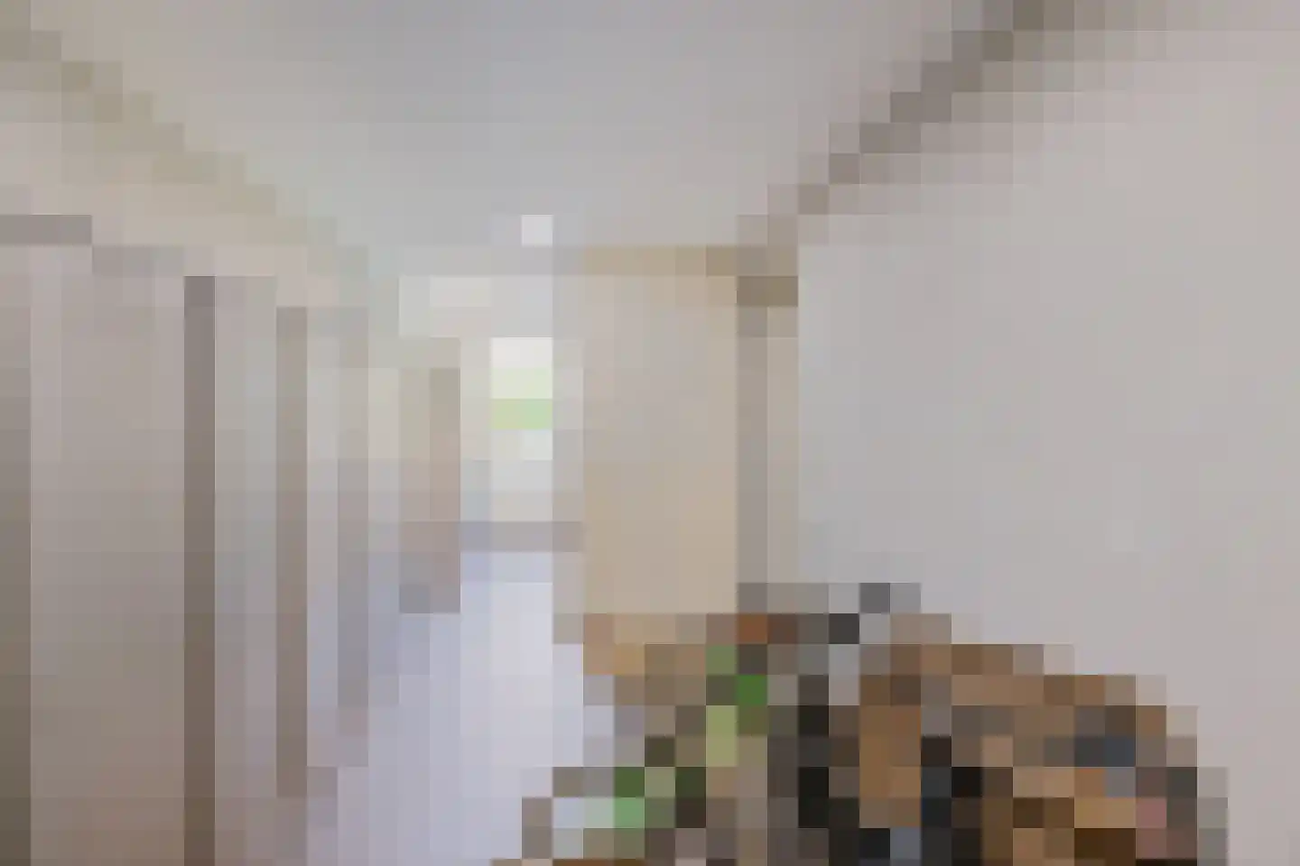 Enkstraat 90 Raalte thumbnail 42