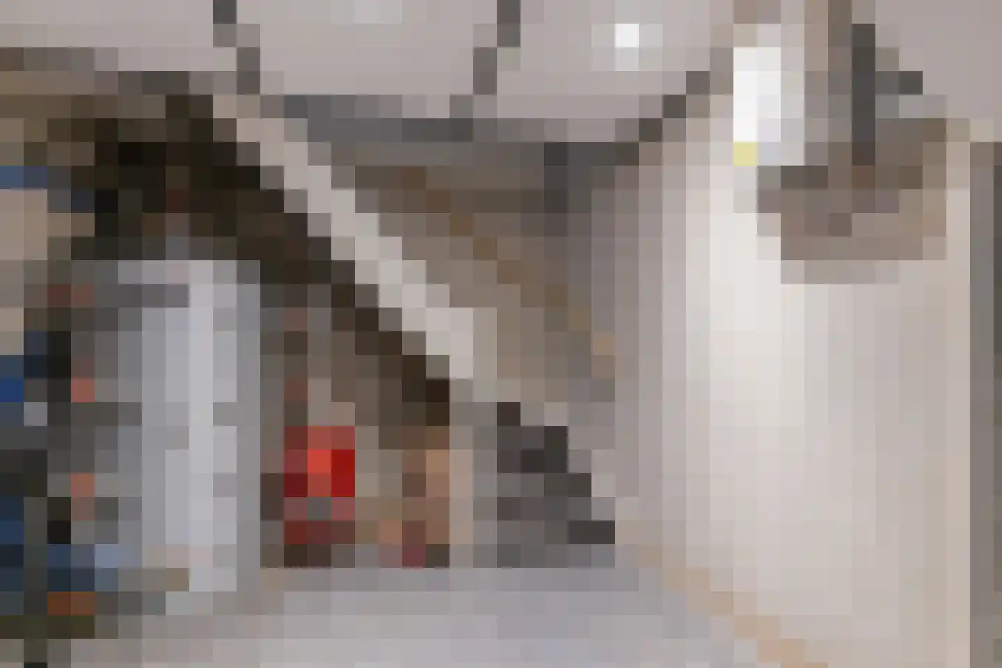 Enkstraat 90 Raalte thumbnail 44