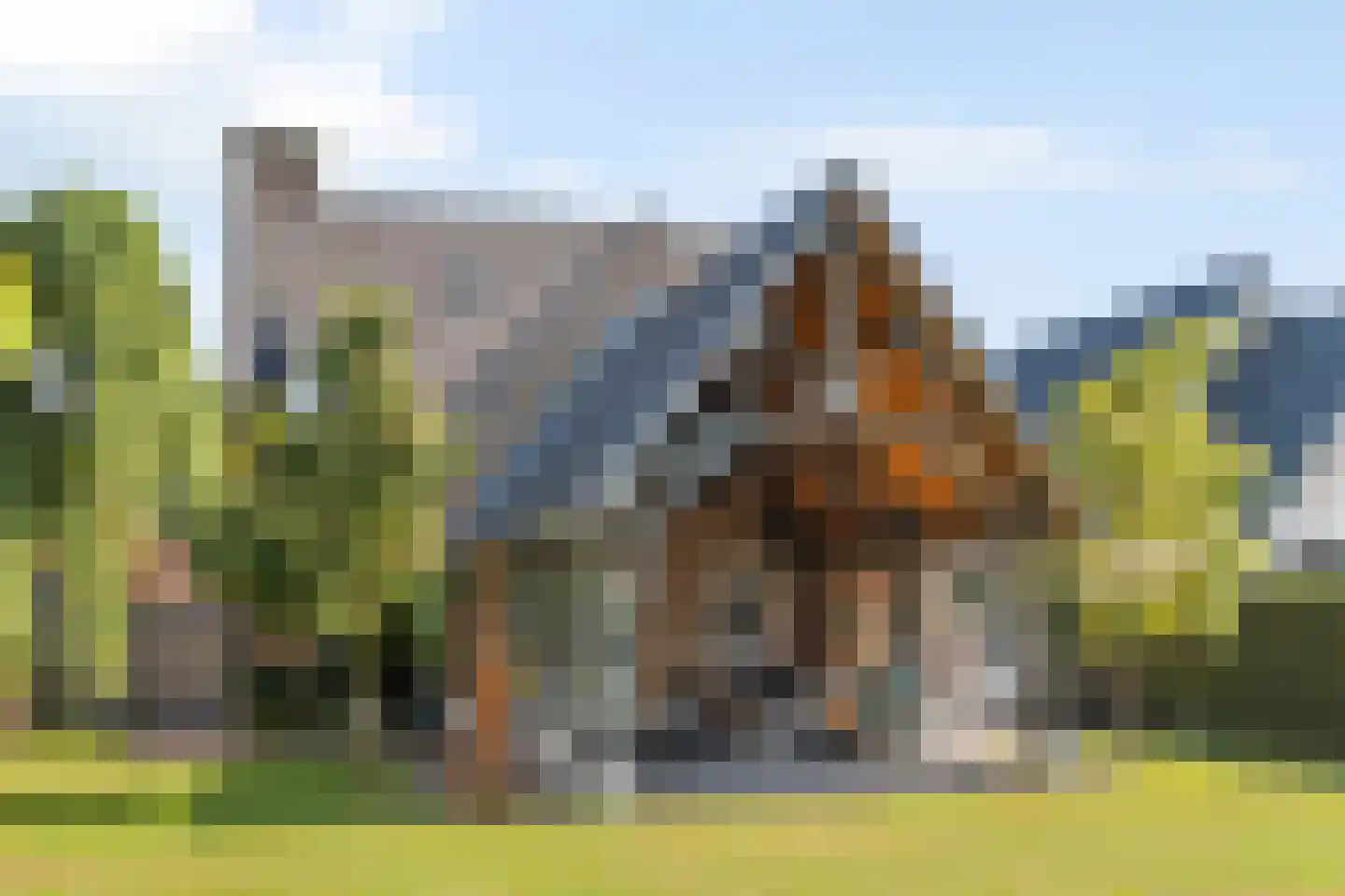 Enkstraat 90 Raalte thumbnail 47