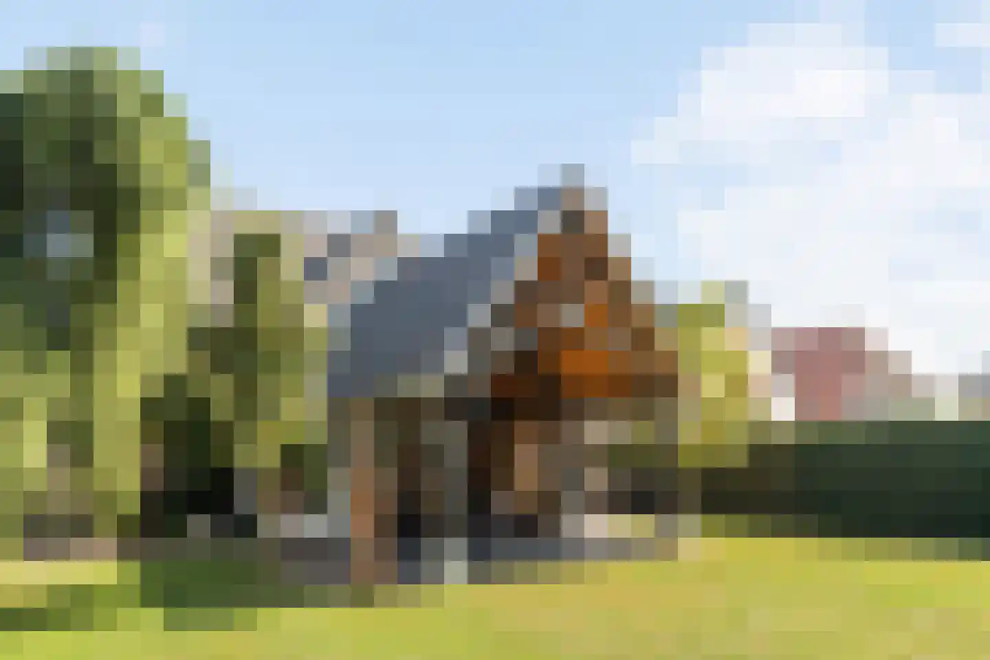Enkstraat 90 Raalte thumbnail 48
