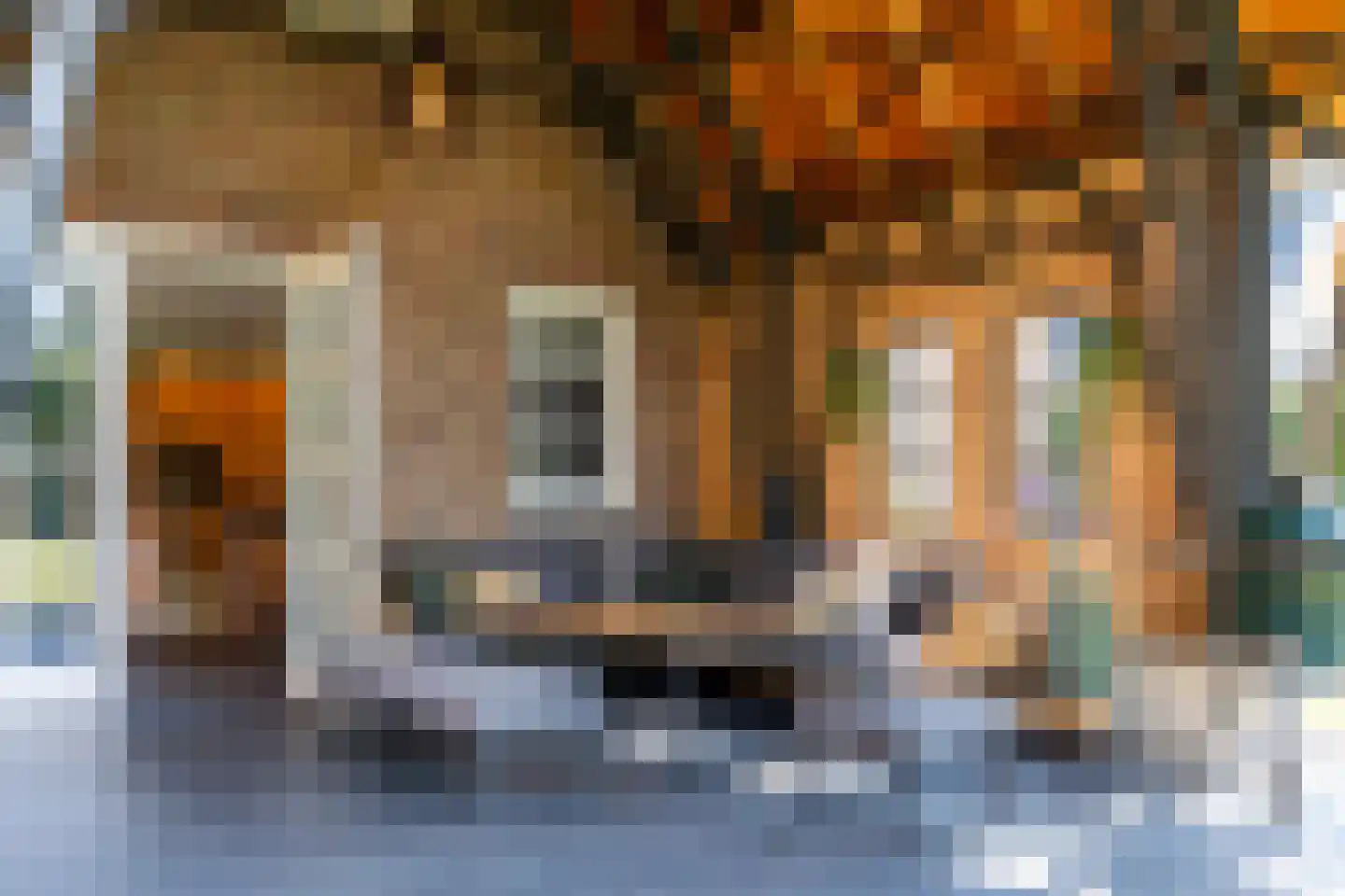 Enkstraat 90 Raalte thumbnail 49