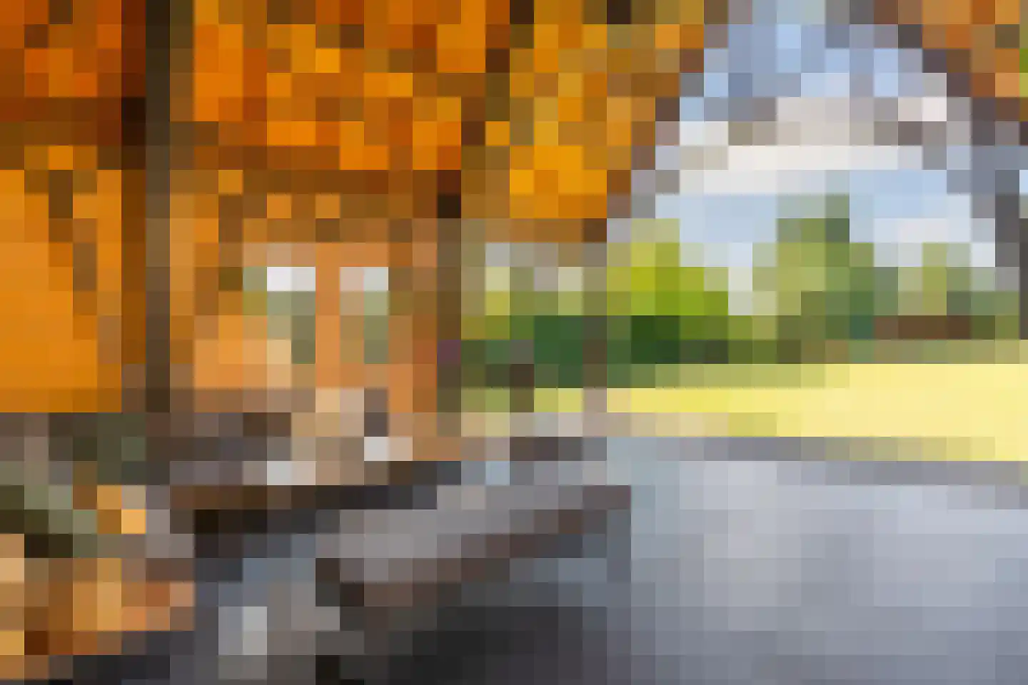 Enkstraat 90 Raalte thumbnail 51