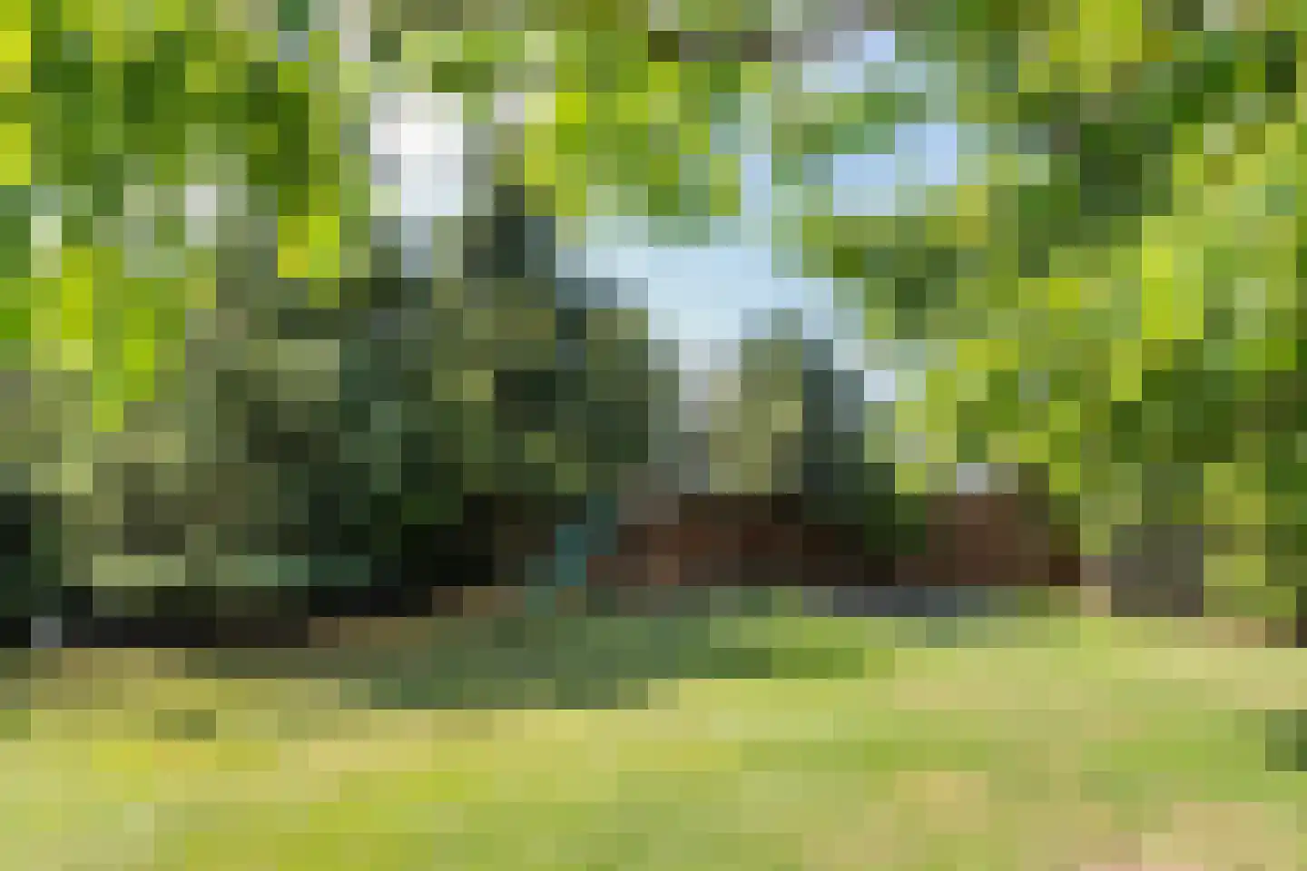Enkstraat 90 Raalte thumbnail 55