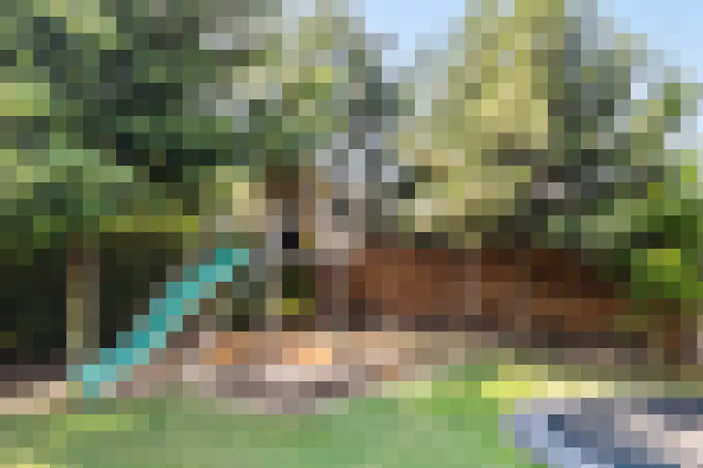 Enkstraat 90 Raalte thumbnail 56