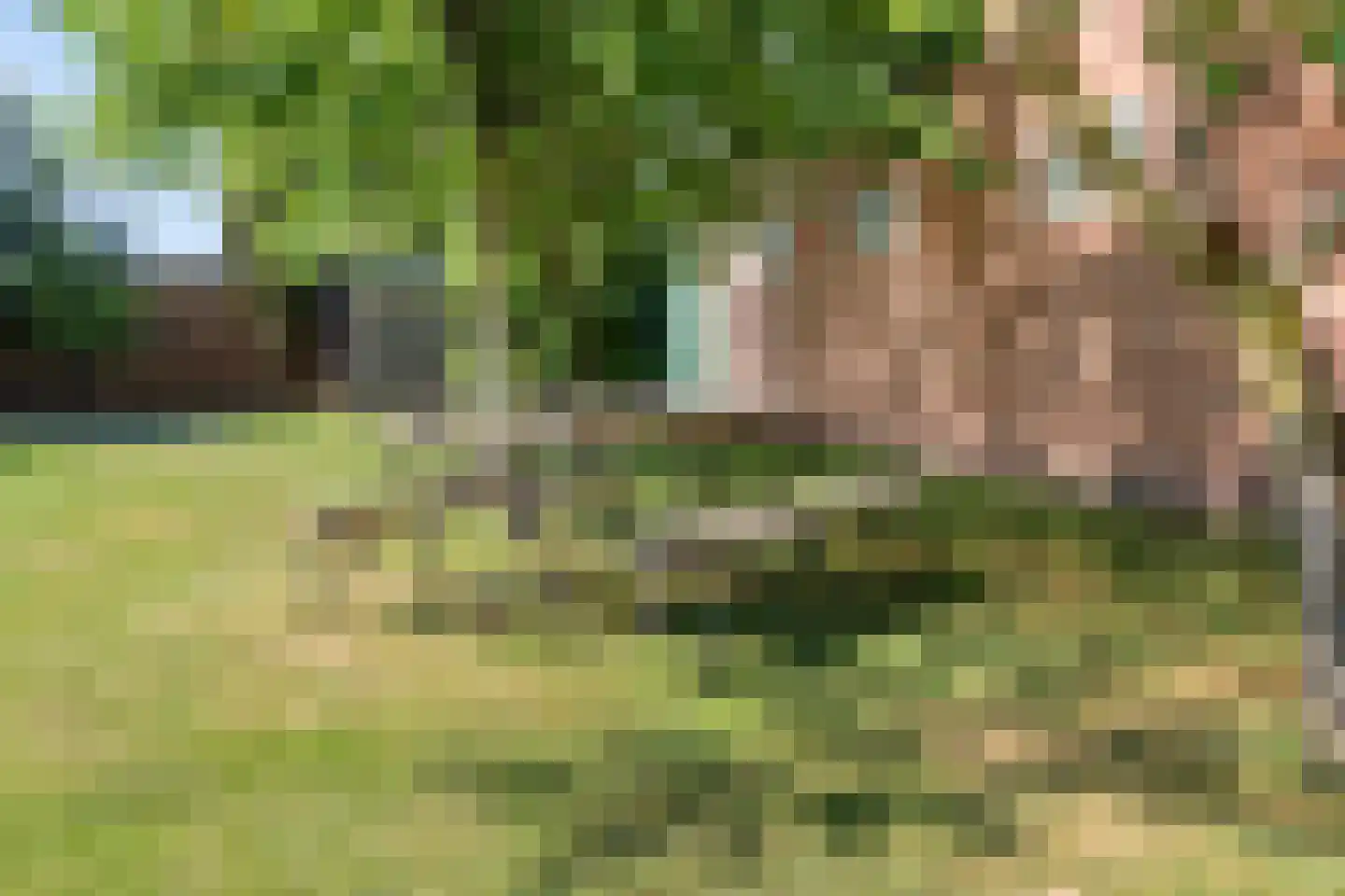 Enkstraat 90 Raalte thumbnail 57