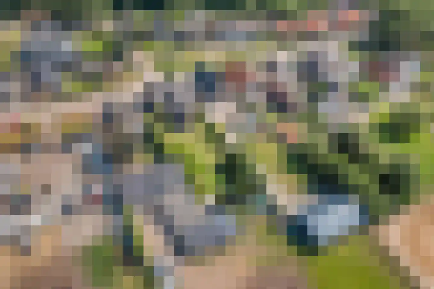 Enkstraat 90 Raalte thumbnail 8