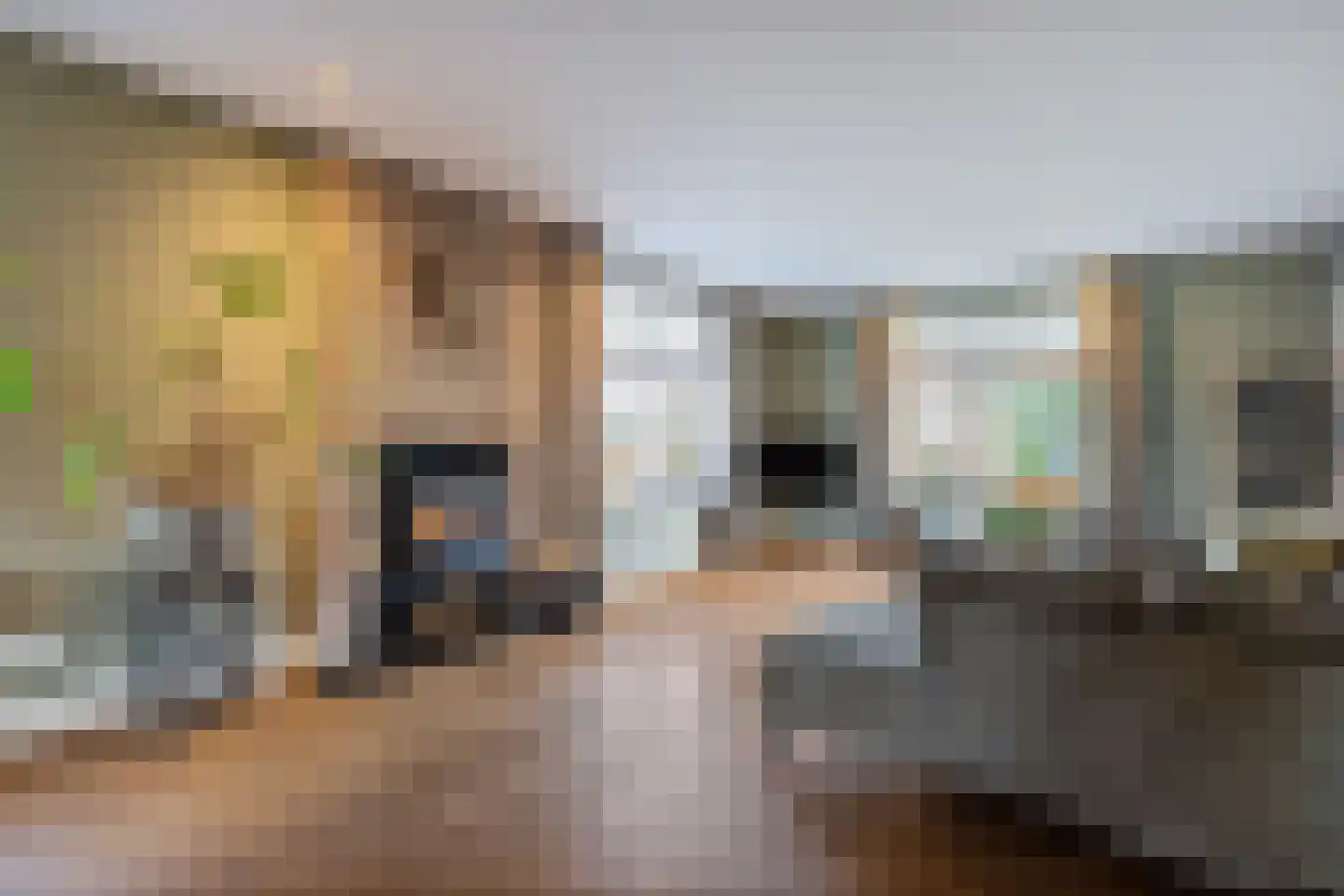 Enkstraat 90 Raalte thumbnail 9