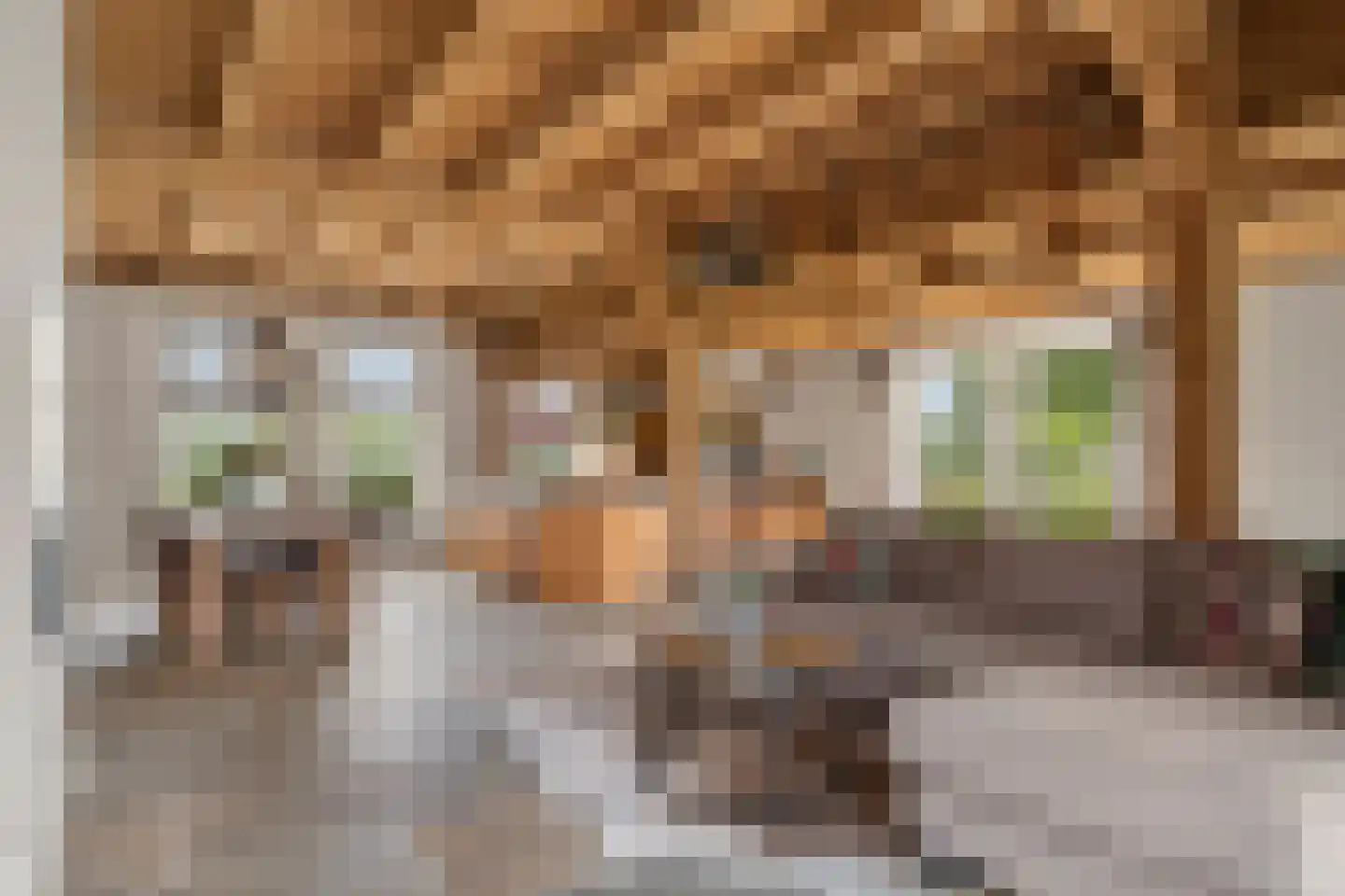 Enktermorsweg 12 Agelo thumbnail 10