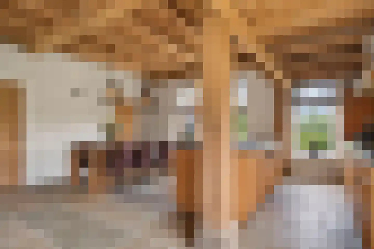 Enktermorsweg 12 Agelo thumbnail 12
