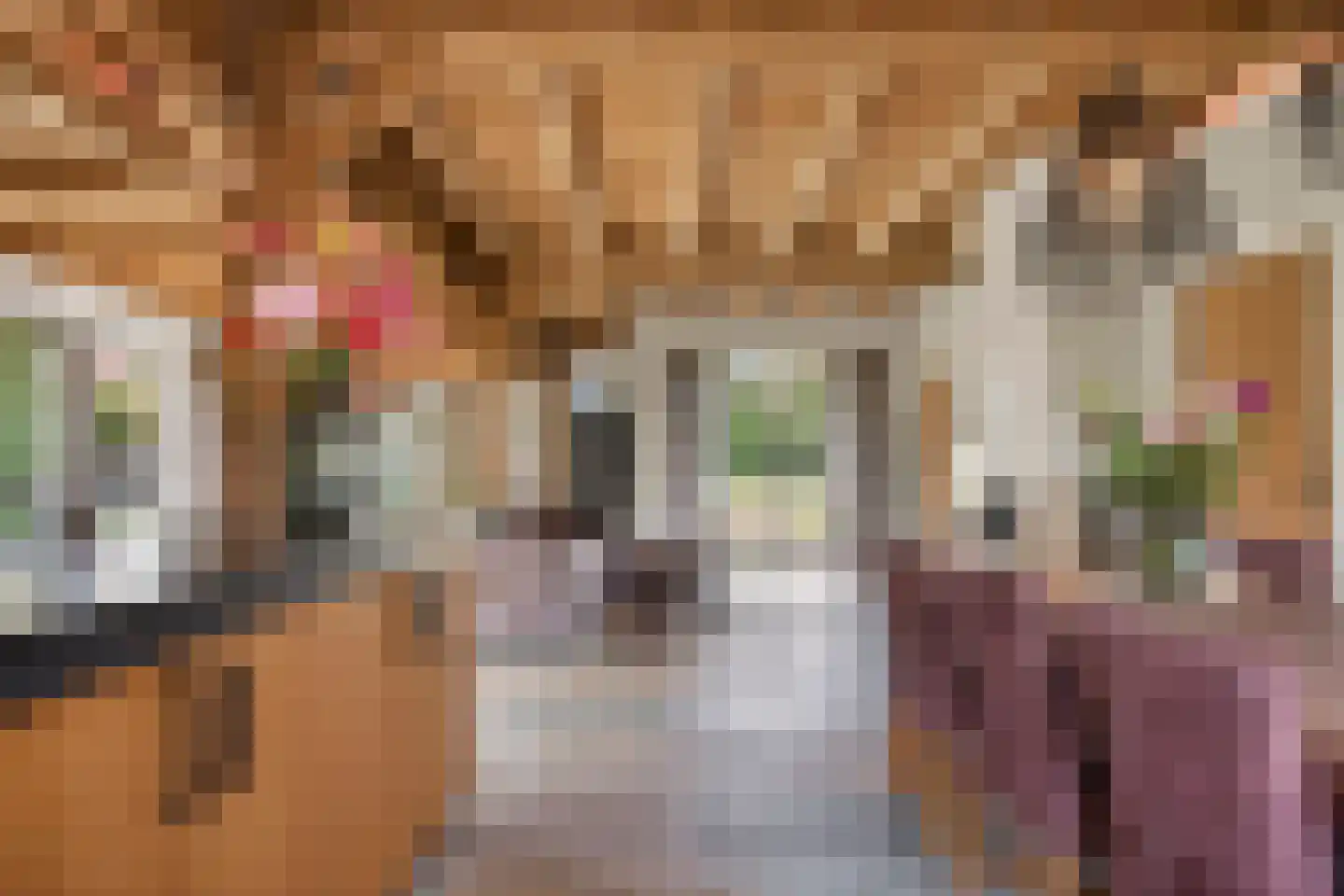 Enktermorsweg 12 Agelo thumbnail 15