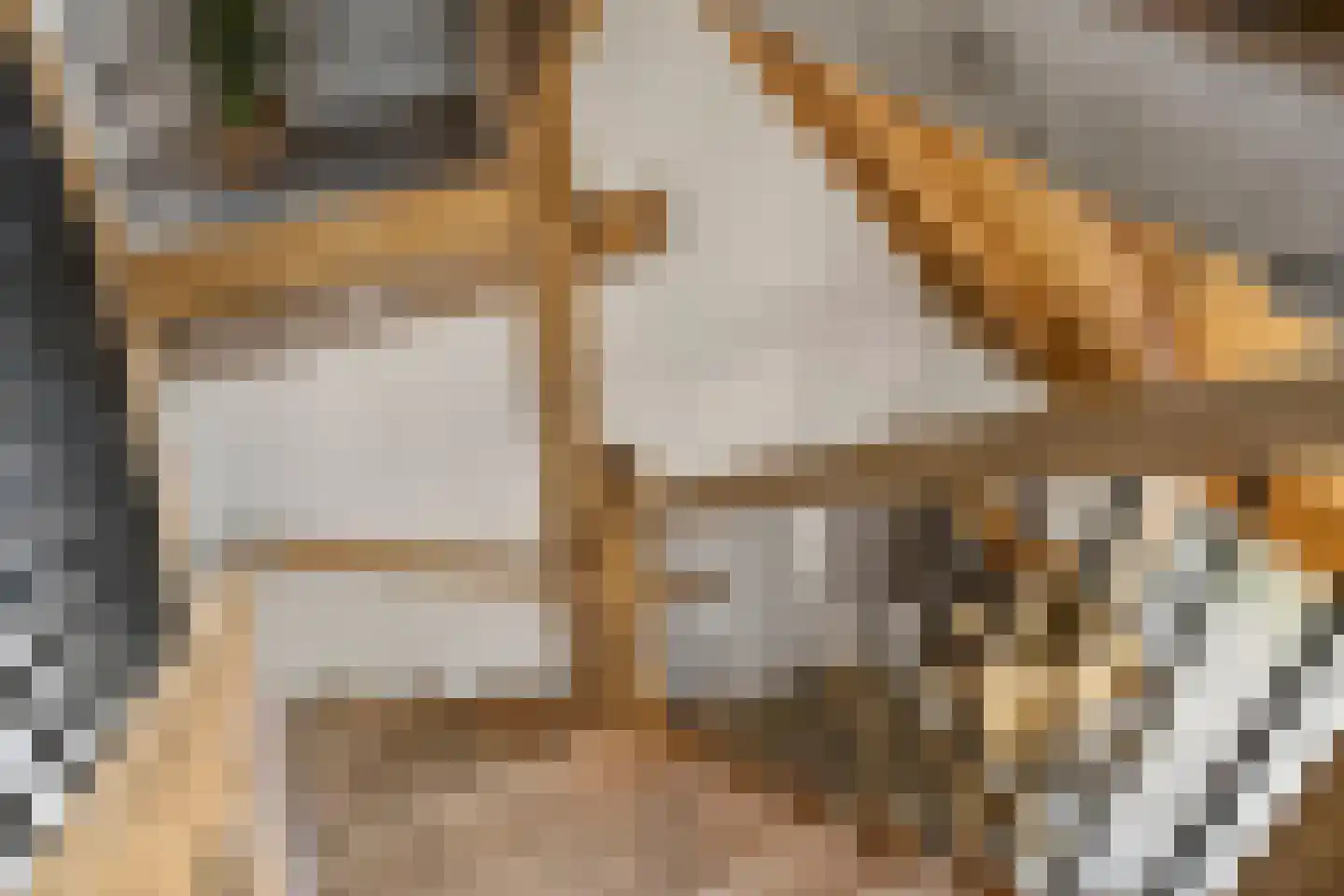 Enktermorsweg 12 Agelo thumbnail 19