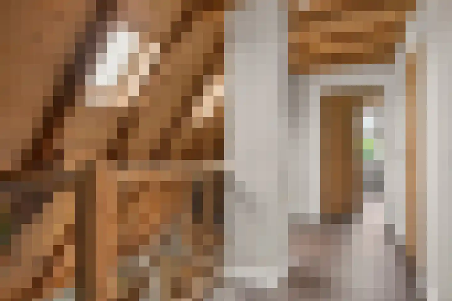 Enktermorsweg 12 Agelo thumbnail 20