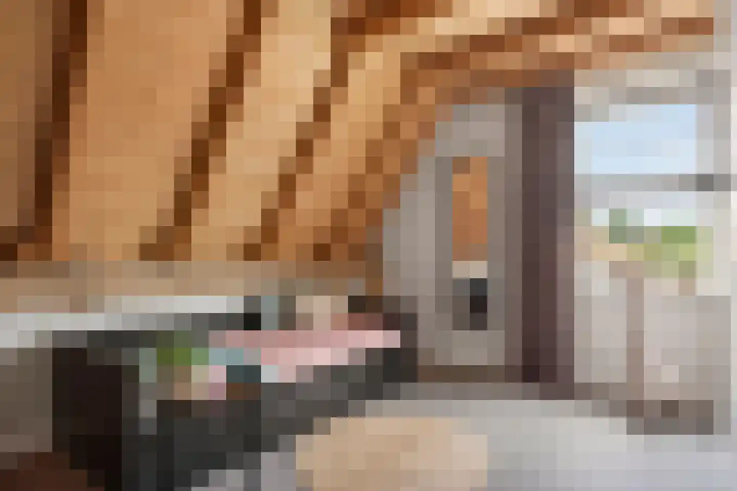 Enktermorsweg 12 Agelo thumbnail 24