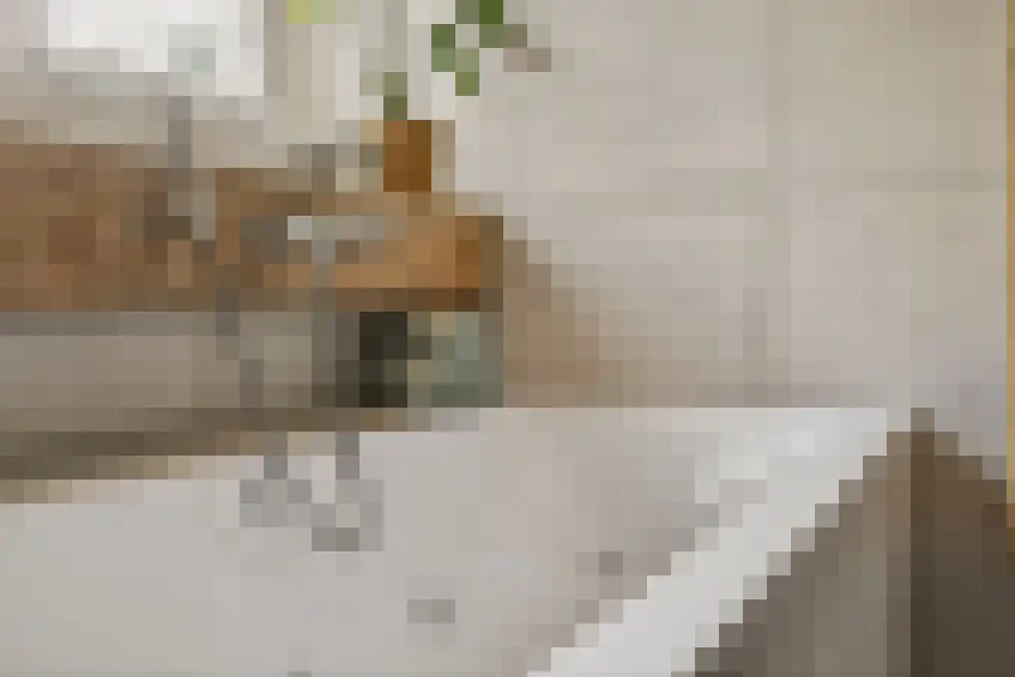 Enktermorsweg 12 Agelo thumbnail 26