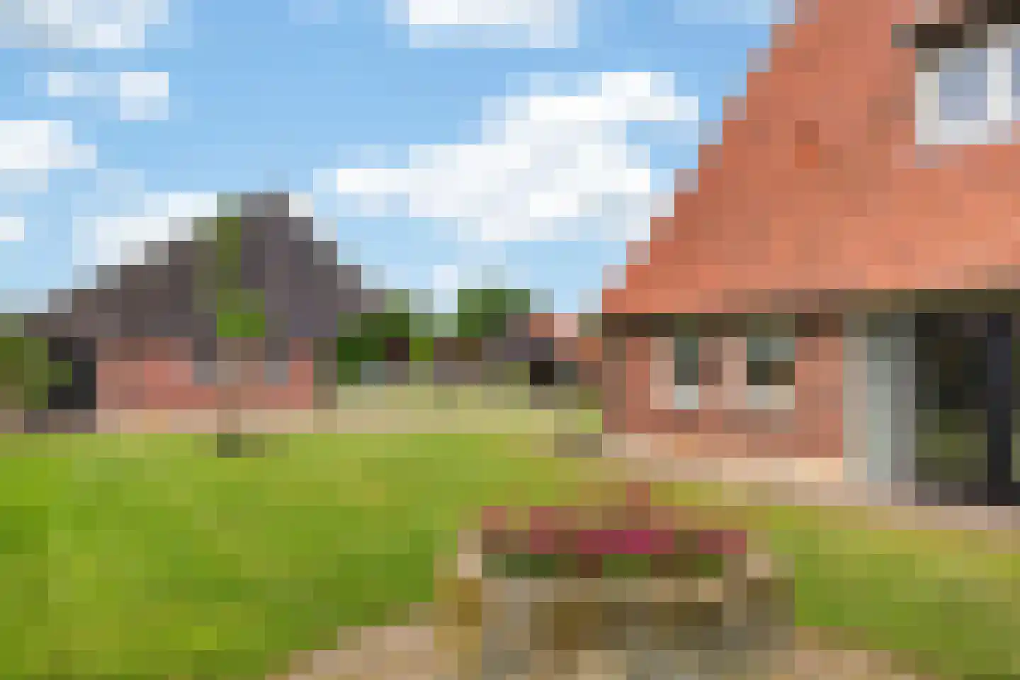 Enktermorsweg 12 Agelo thumbnail 29