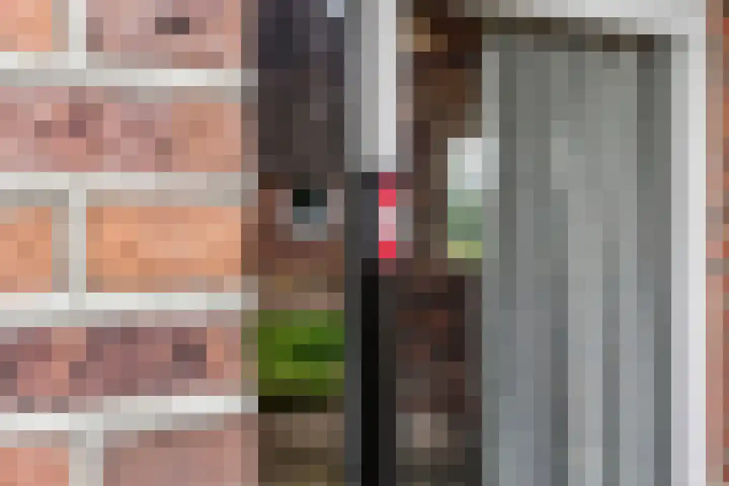 Enktermorsweg 12 Agelo thumbnail 46