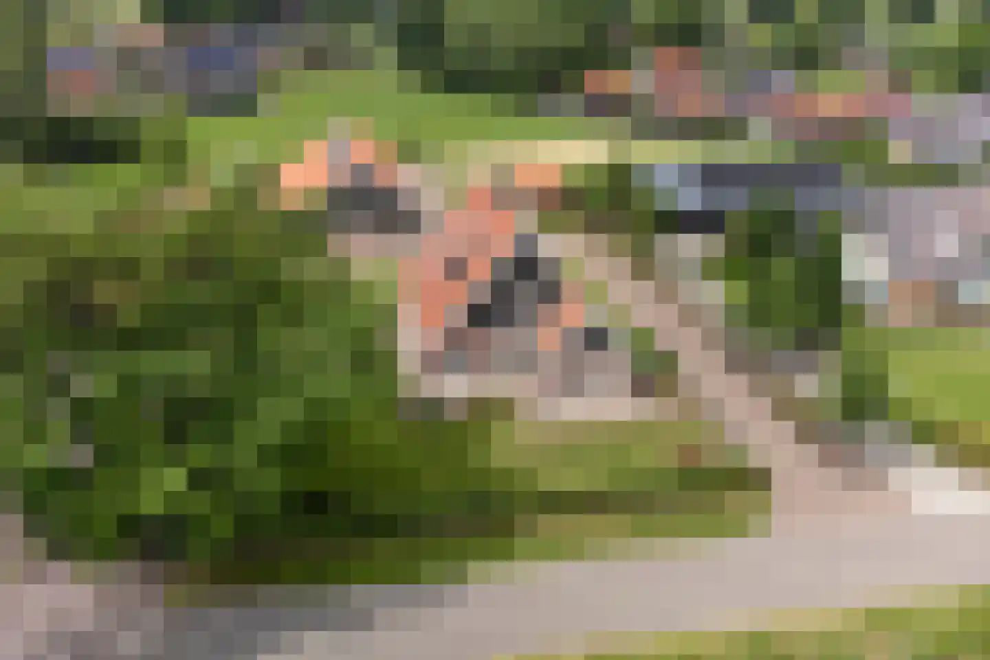Enktermorsweg 12 Agelo thumbnail 49