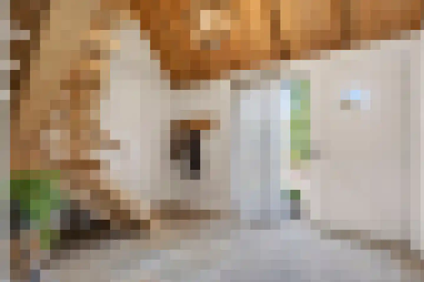 Enktermorsweg 12 Agelo thumbnail 5