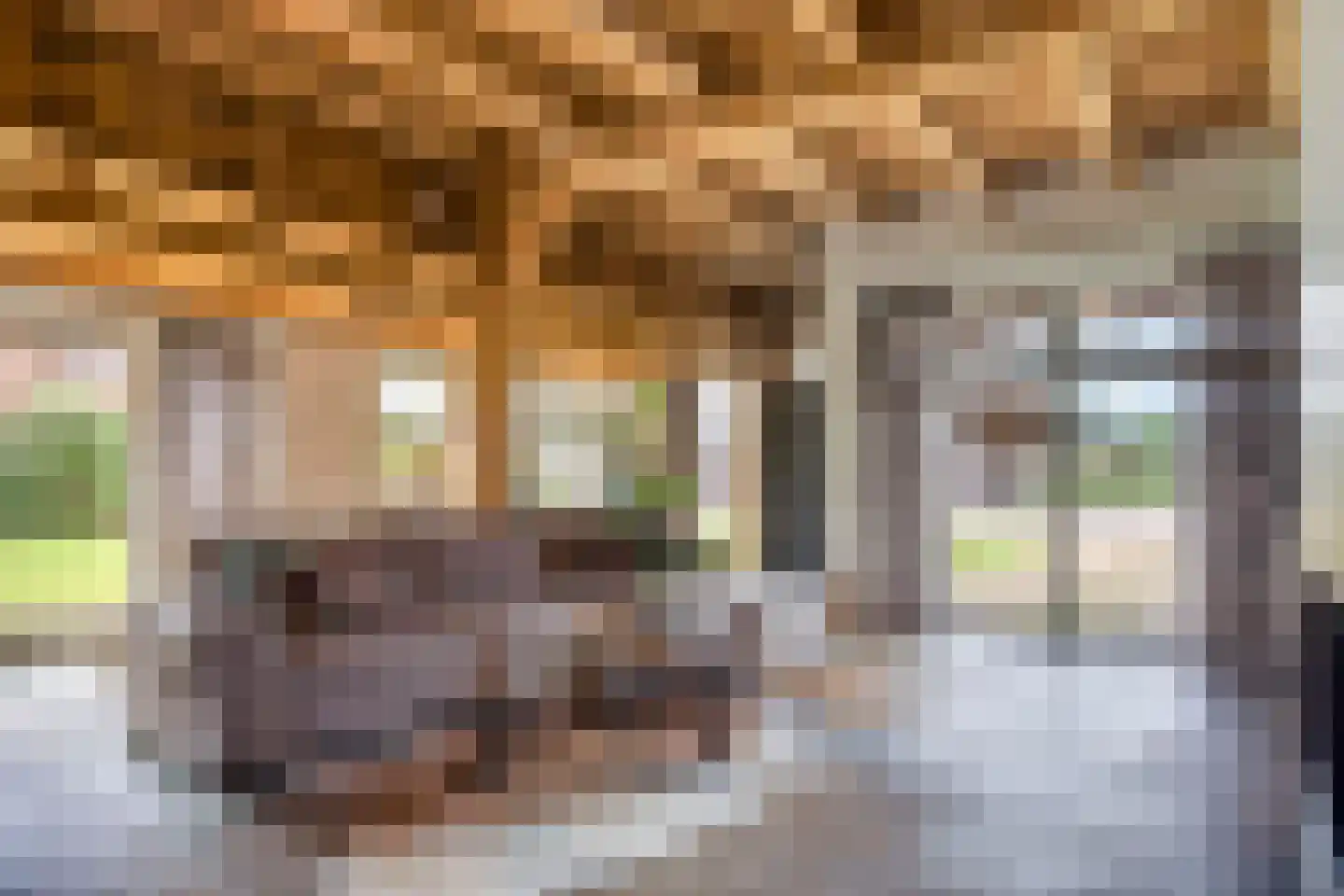 Enktermorsweg 12 Agelo thumbnail 7