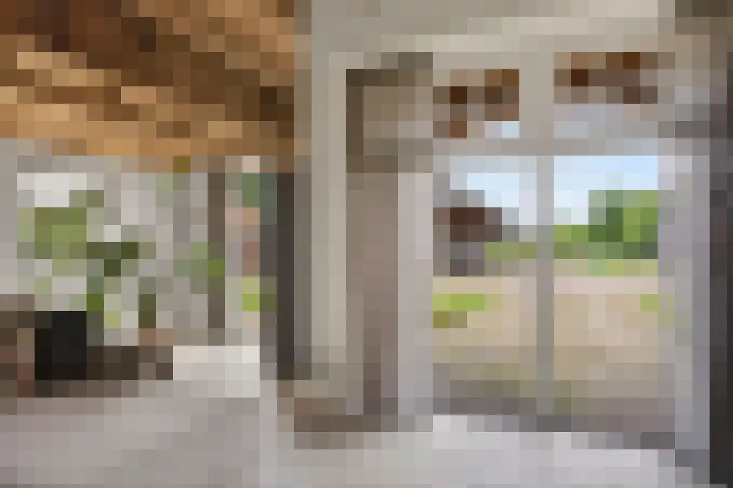 Enktermorsweg 12 Agelo thumbnail 8