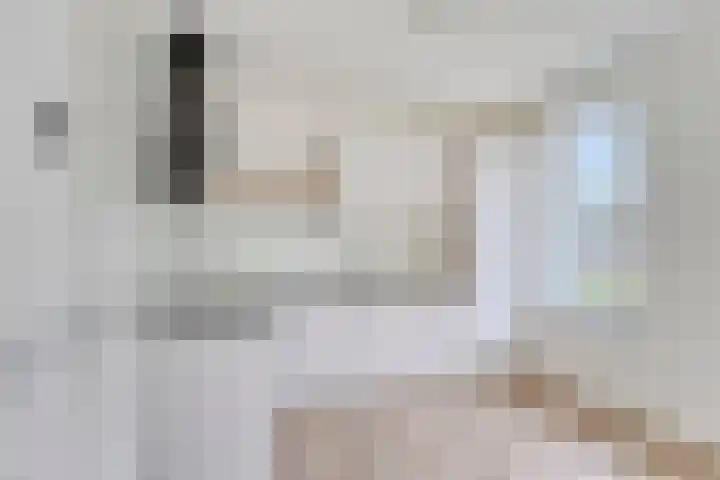 Enkweg 1 Epe thumbnail 14