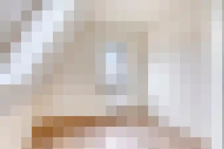 Enkweg 1 Epe thumbnail 22