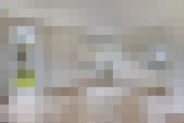 Enkweg 1 Epe thumbnail 6