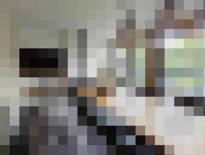 Enkweg 1 Renkum thumbnail 11