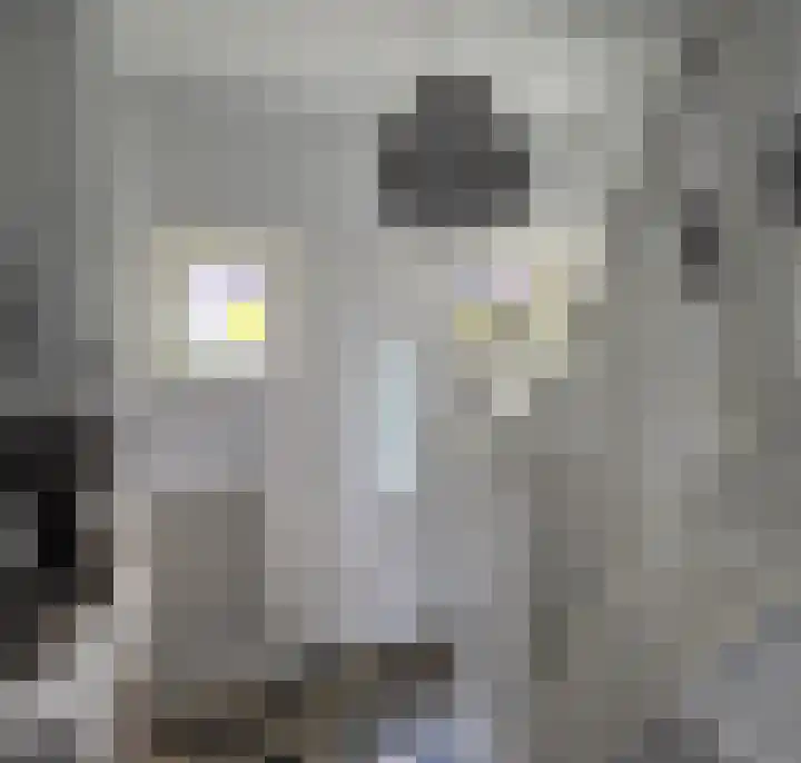Enkweg 1 Renkum thumbnail 15
