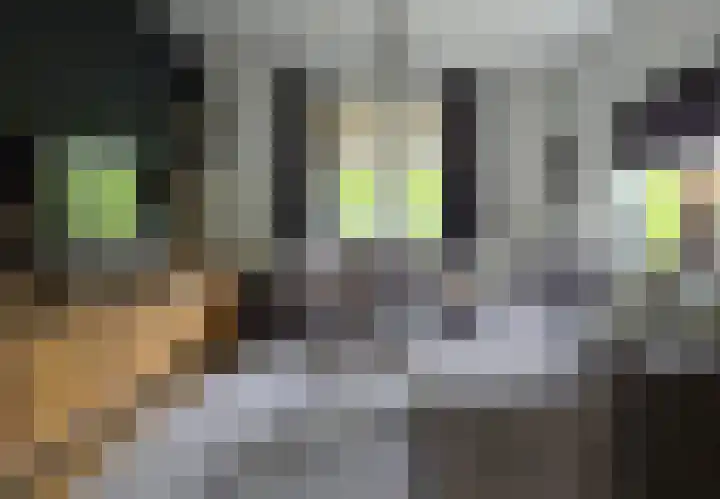 Enkweg 1 Renkum thumbnail 17