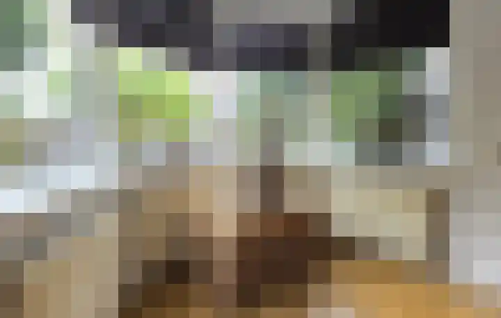 Enkweg 1 Renkum thumbnail 20