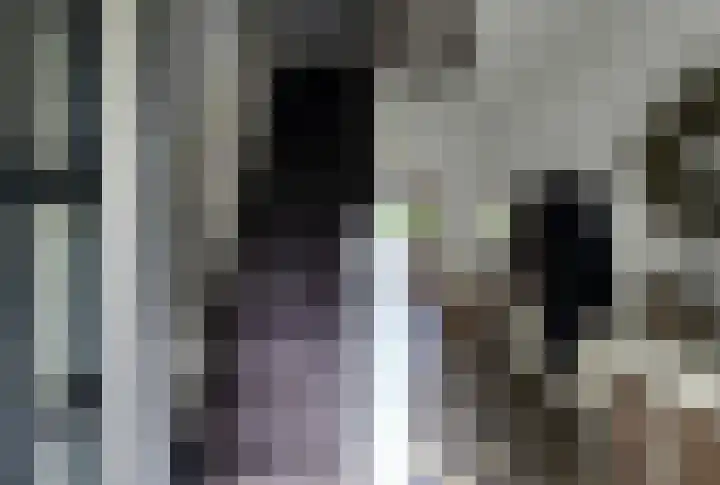 Enkweg 1 Renkum thumbnail 21