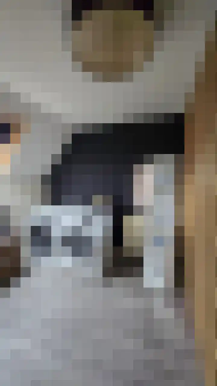 Enkweg 1 Renkum thumbnail 31