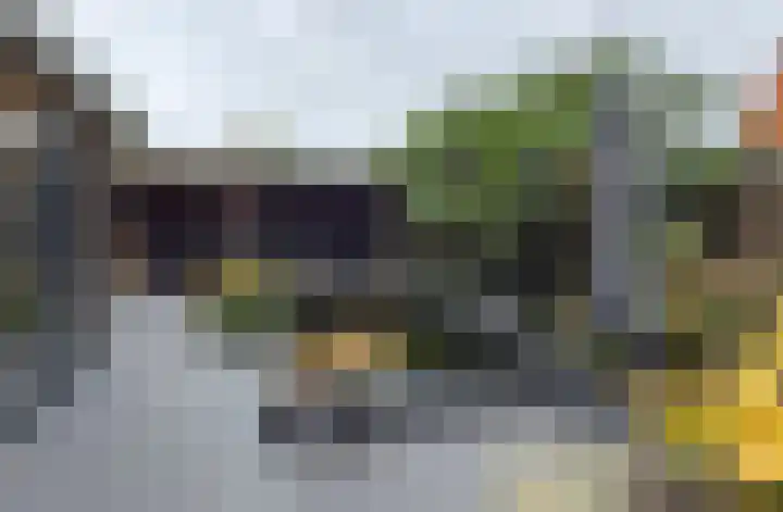 Enkweg 1 Renkum thumbnail 33