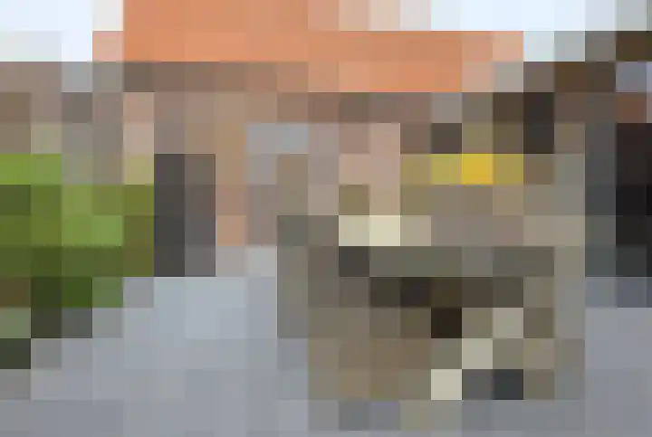 Enkweg 1 Renkum thumbnail 39