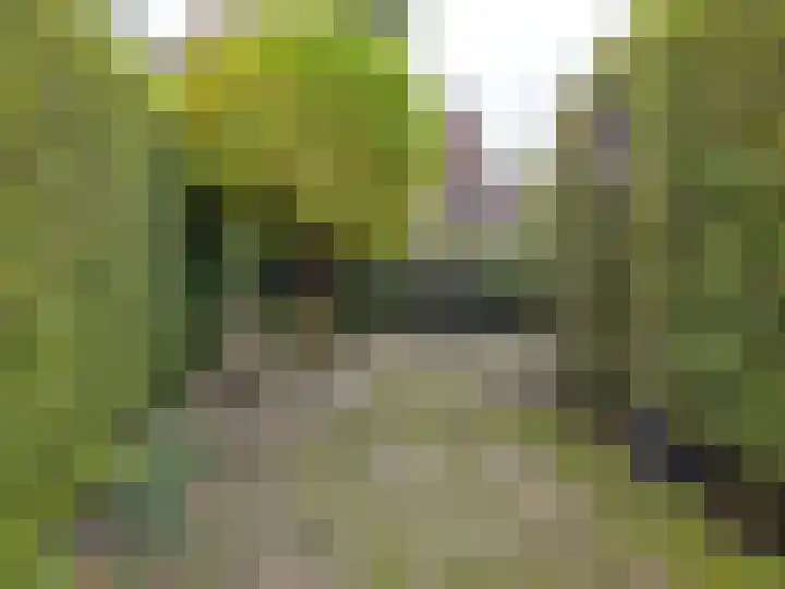 Enkweg 1 Renkum thumbnail 41