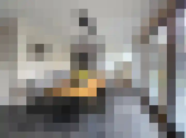 Enkweg 1 Renkum thumbnail 7