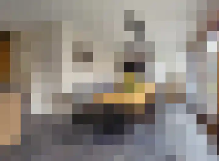Enkweg 1 Renkum thumbnail 8