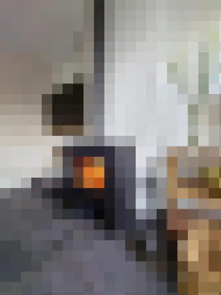 Enkweg 1 Renkum thumbnail 9