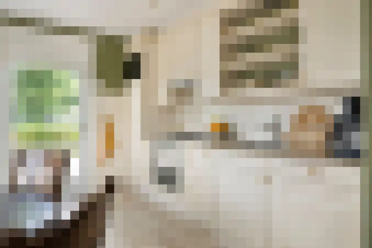 Enkweg 1 Vorden thumbnail 12