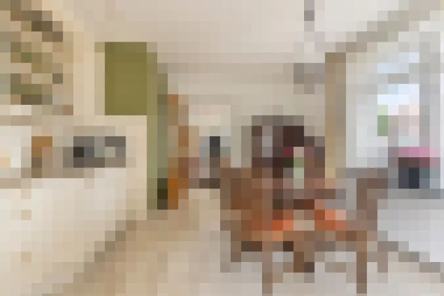 Enkweg 1 Vorden thumbnail 13