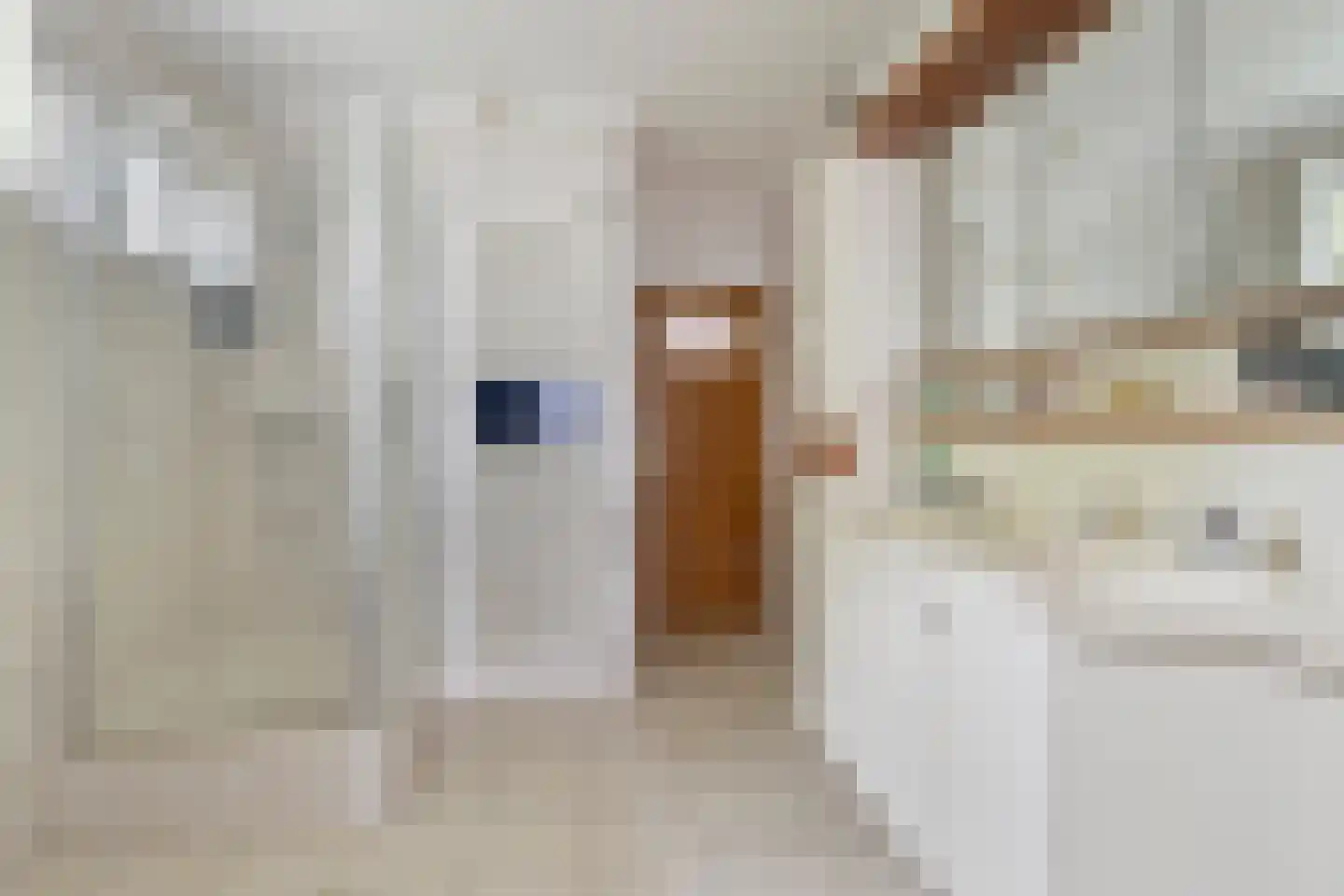 Enkweg 1 Vorden thumbnail 17