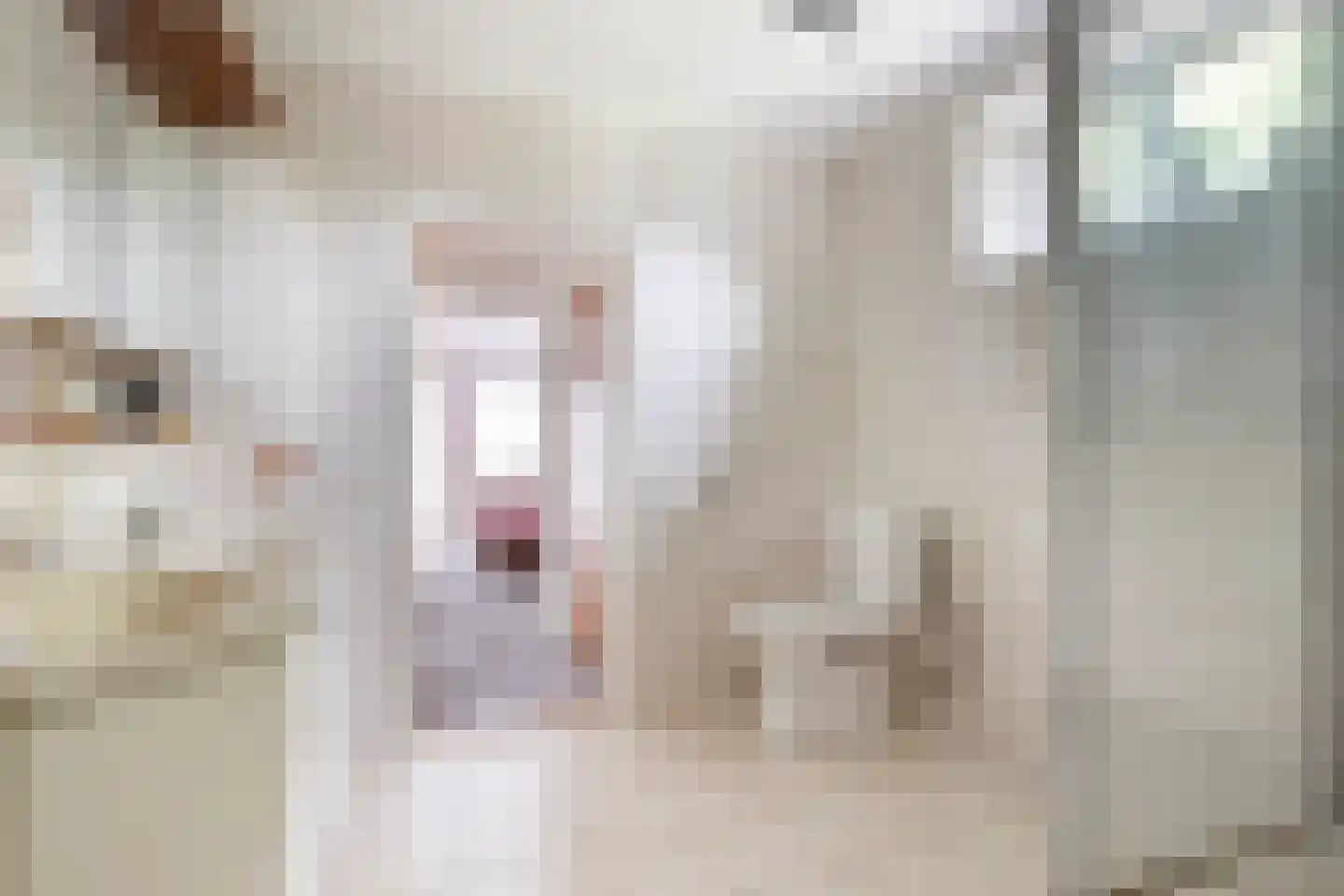 Enkweg 1 Vorden thumbnail 18
