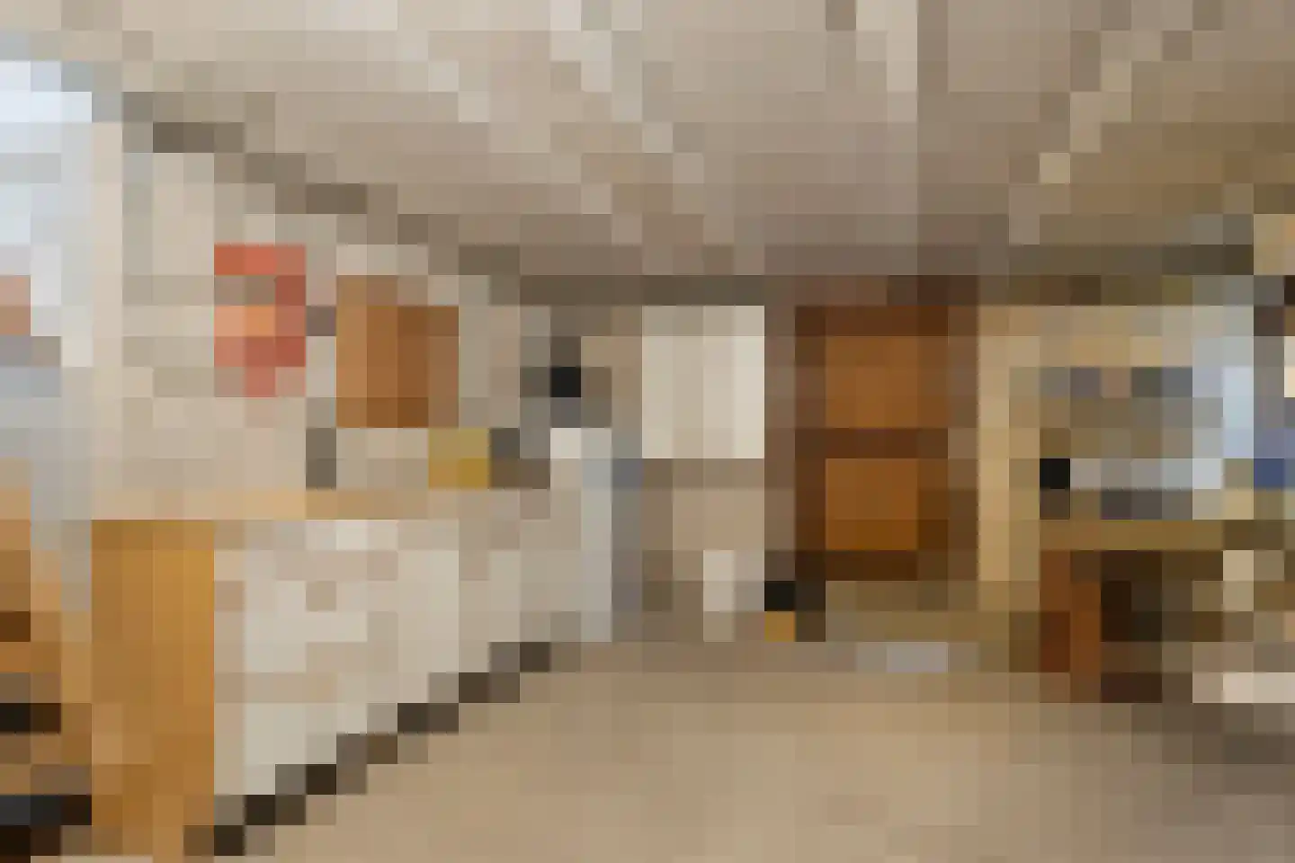 Enkweg 1 Vorden thumbnail 26